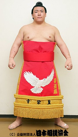 Mudoho
