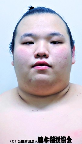 Nihonyanagi