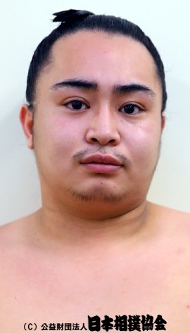 Fujinoteru
