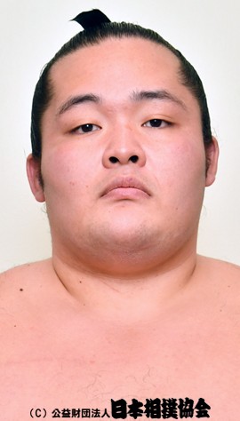 Wakazakura