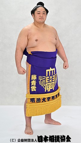 Fujiseiun