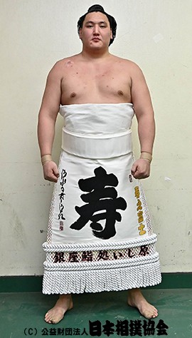 Toshinofuji