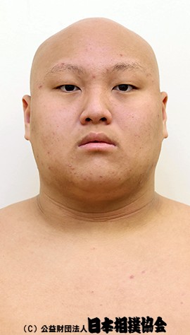 Daigozakura