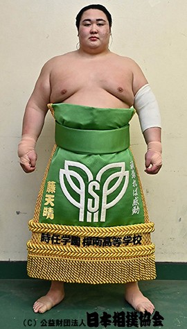 Fujitensei