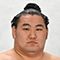 Hoshoryu