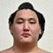 Toshinofuji